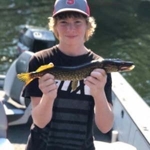 Meet your Posher, John